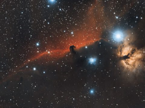 Internationale Raumstation: Bakterien passen sich an Leben im Weltall an