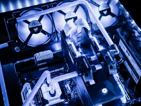 FAU: Essen, Kontaktpflege oder Erkunden: Wie das Gehirn zwischen Verhaltensweisen umschaltet