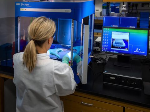 Kunstleder aus rezyklierbarem und biobasiertem PBS