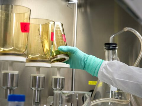 Biologisch abbaubare künstliche Muskeln: Forschende im Bereich Soft-Robotik setzen auf Nachhaltigkeit