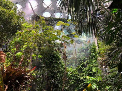 Wie Wellen und Vermischung Küstenauftriebssysteme antreiben: Neue Erkenntnisse zur Produktivität vor Angolas Küste Wie Wellen und Vermischung Küstenauftriebssysteme antreiben: Neue Erkenntnisse zur Produktivität vor Angolas Küste