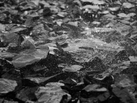 Biokunststoffe werden attraktiver für die Industrie