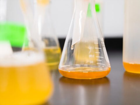 Biomüllverwertung: BAW-Sammelbeutel aktuell nicht empfehlenswert