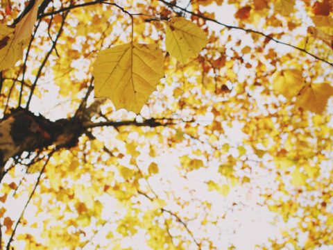 Design Friction Lab: Wo Design Räume der Möglichkeiten eröffnet