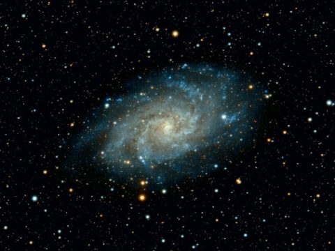 Raumfahrt: Roboterhund »Spirit« trainiert in den Bergen für seine Mondmission