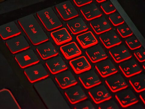 Tyrannosaurus Rex: Größter T.rex aller Zeiten könnte 15 Tonnen gewogen haben