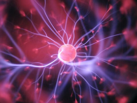 Biologisch abbaubare Strechfolie macht die Logistik nachhaltiger