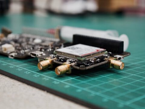 FAU: Essen, Kontaktpflege oder Erkunden: Wie das Gehirn zwischen Verhaltensweisen umschaltet FAU: Essen, Kontaktpflege oder Erkunden: Wie das Gehirn zwischen Verhaltensweisen umschaltet