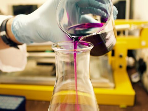 Forschende der TU Darmstadt weisen erstmals Mikroplastik in Weinbergen nach