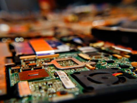 FAU: Essen, Kontaktpflege oder Erkunden: Wie das Gehirn zwischen Verhaltensweisen umschaltet