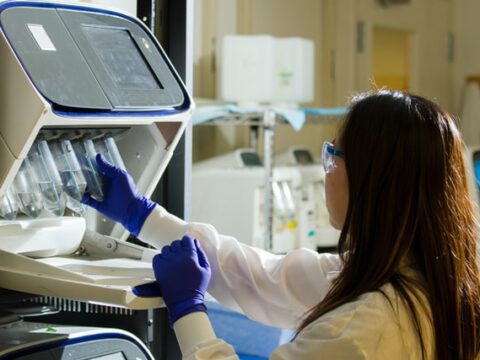 Biologisch abbaubare künstliche Muskeln: Forschende im Bereich Soft-Robotik setzen auf Nachhaltigkeit