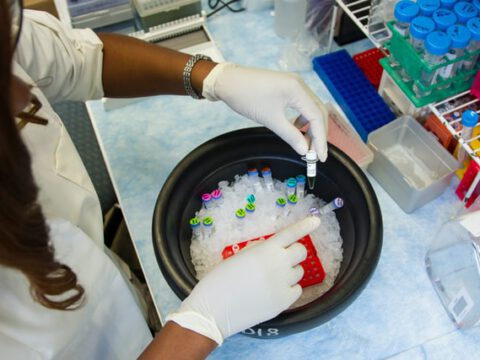 Wie Plastik biologisch abgebaut wird