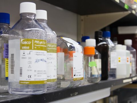 Allgegenwärtige Kunststoffe biologisch abbaubar machen