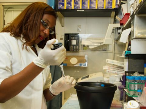 Allgegenwärtige Kunststoffe biologisch abbaubar machen