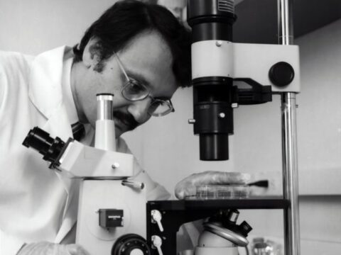 Forschende der TU Darmstadt weisen erstmals Mikroplastik in Weinbergen nach Forschende der TU Darmstadt weisen erstmals Mikroplastik in Weinbergen nach