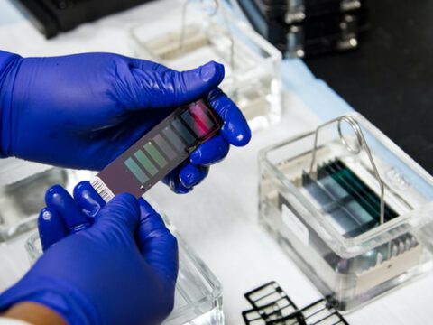 Selbstheilender Kunststoff wird biologisch abbaubar