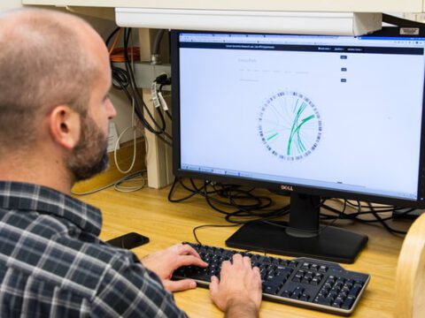 Forschende der TU Darmstadt weisen erstmals Mikroplastik in Weinbergen nach