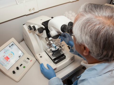 Peptid-Boronsäuren: Neue Perspektiven für die Immunologie Peptid-Boronsäuren: Neue Perspektiven für die Immunologie