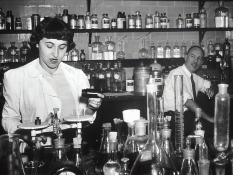 Neues Material aus Dresden für die Bioelektronik: Leitfähiges Hydrogel steuert elektrische und biochemische Signale