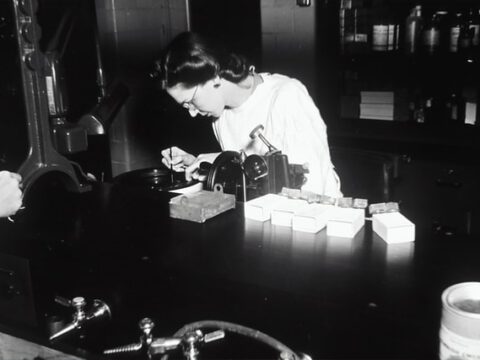 Biologisch abbaubare Strechfolie macht die Logistik nachhaltiger Biologisch abbaubare Strechfolie macht die Logistik nachhaltiger