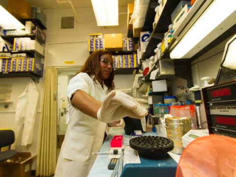 Peptid-Boronsäuren: Neue Perspektiven für die Immunologie Peptid-Boronsäuren: Neue Perspektiven für die Immunologie