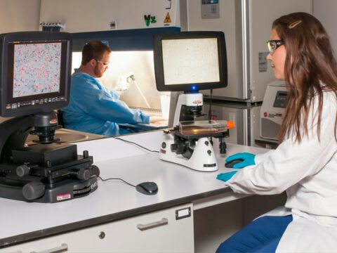 Biologisch abbaubare Strechfolie macht die Logistik nachhaltiger