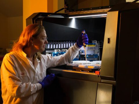 Selbstheilender Kunststoff wird biologisch abbaubar