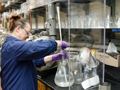 Biologisch abbaubare Strechfolie macht die Logistik nachhaltiger