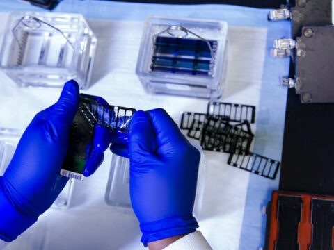 Recyclingfähiger Kunststoff: Biologisch abbaubarer Polyester mit ähnlichen Eigenschaften wie hochdichtes Polyethylen