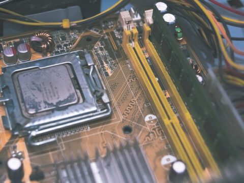 Tyrannosaurus Rex: Größter T.rex aller Zeiten könnte 15 Tonnen gewogen haben Tyrannosaurus Rex: Größter T.rex aller Zeiten könnte 15 Tonnen gewogen haben